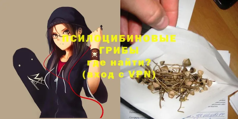 Галлюциногенные грибы Magic Shrooms  Краснослободск 